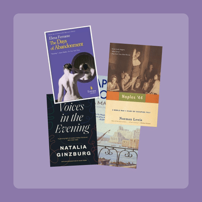 So You Loved the Neapolitan Novels Book Set
