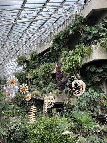 Barbican Conservatory