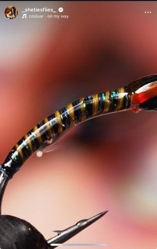 shetiesflies