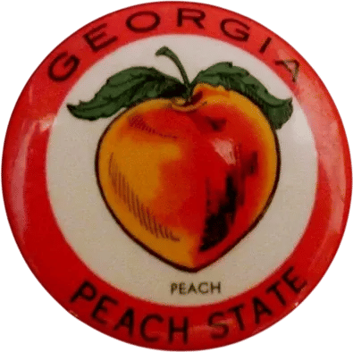 VTG Early 50s GEORGIA PEACH STATE 2.25" Celluloid Pinback Button
