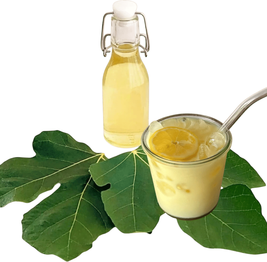 MASHUP: Fig Leaf Syrup + Olive Oil Lemonade