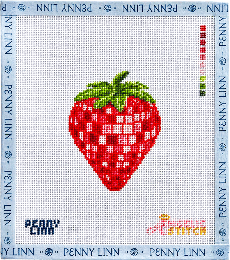 Disco Strawberry Needlepoint Canvas