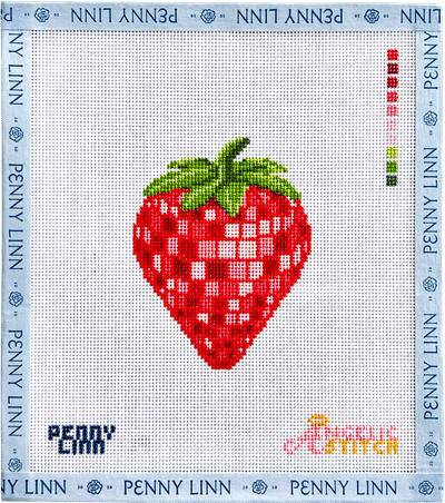 Disco Strawberry Needlepoint Canvas