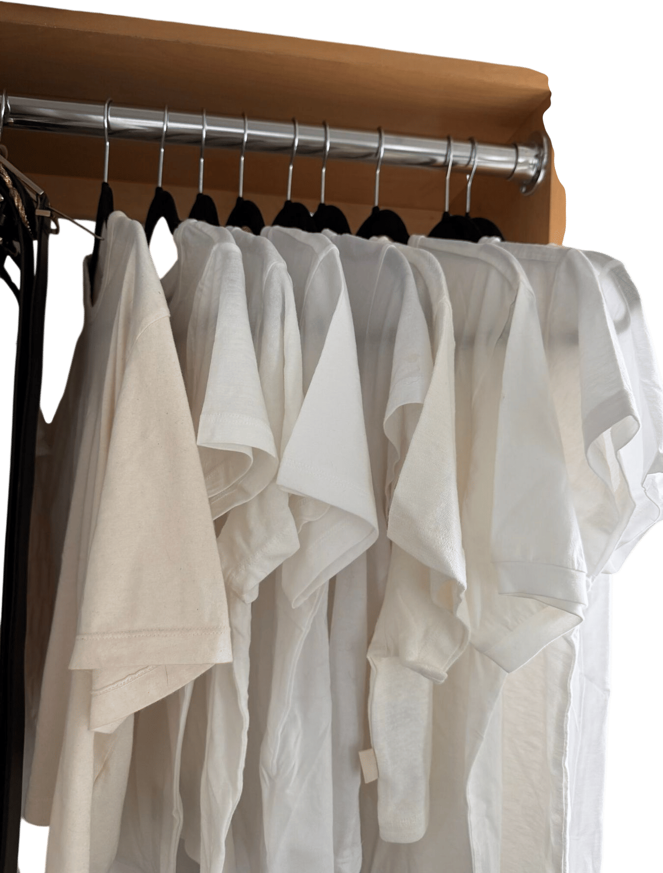 Quince Cotton Tees