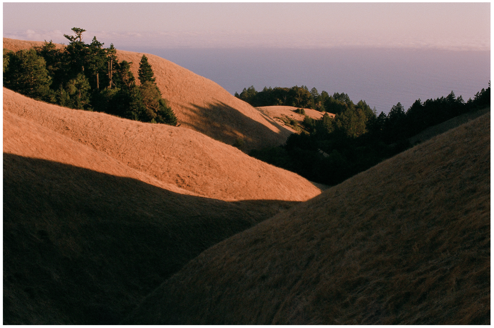 Mount Tamalpais