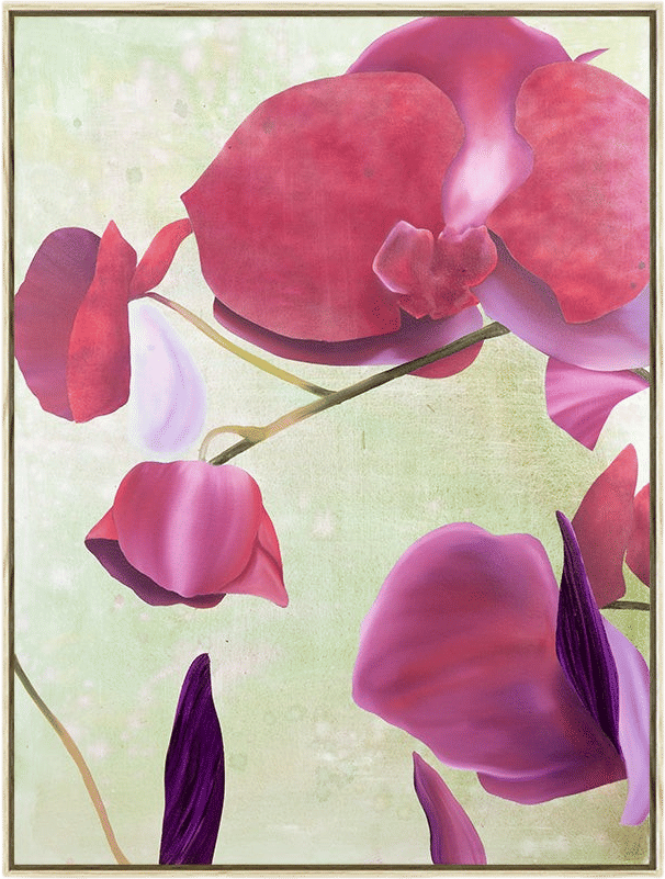 Oﬀering Orchids Flowers