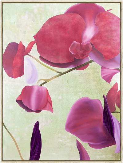 Offering Orchids Flowers