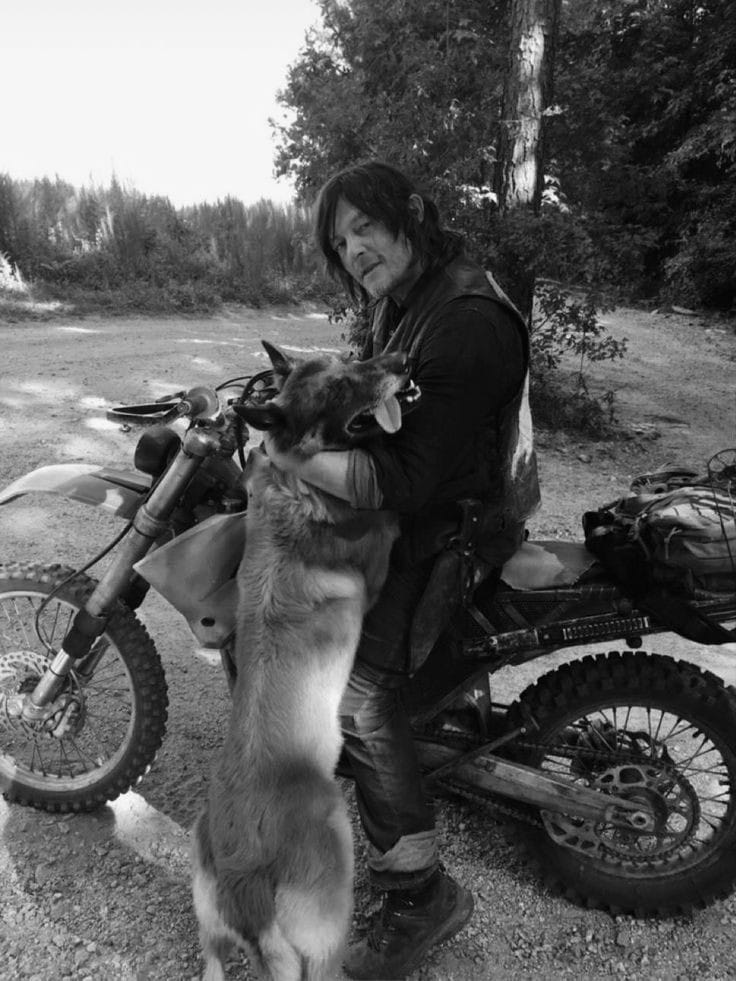 Norman reedus