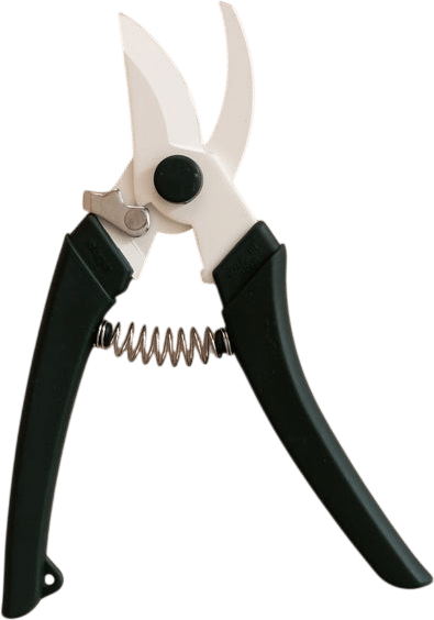japanese pruning shears