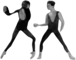 In the middle somewhat elevated  Sylvie Guillem Laurent Hilaire