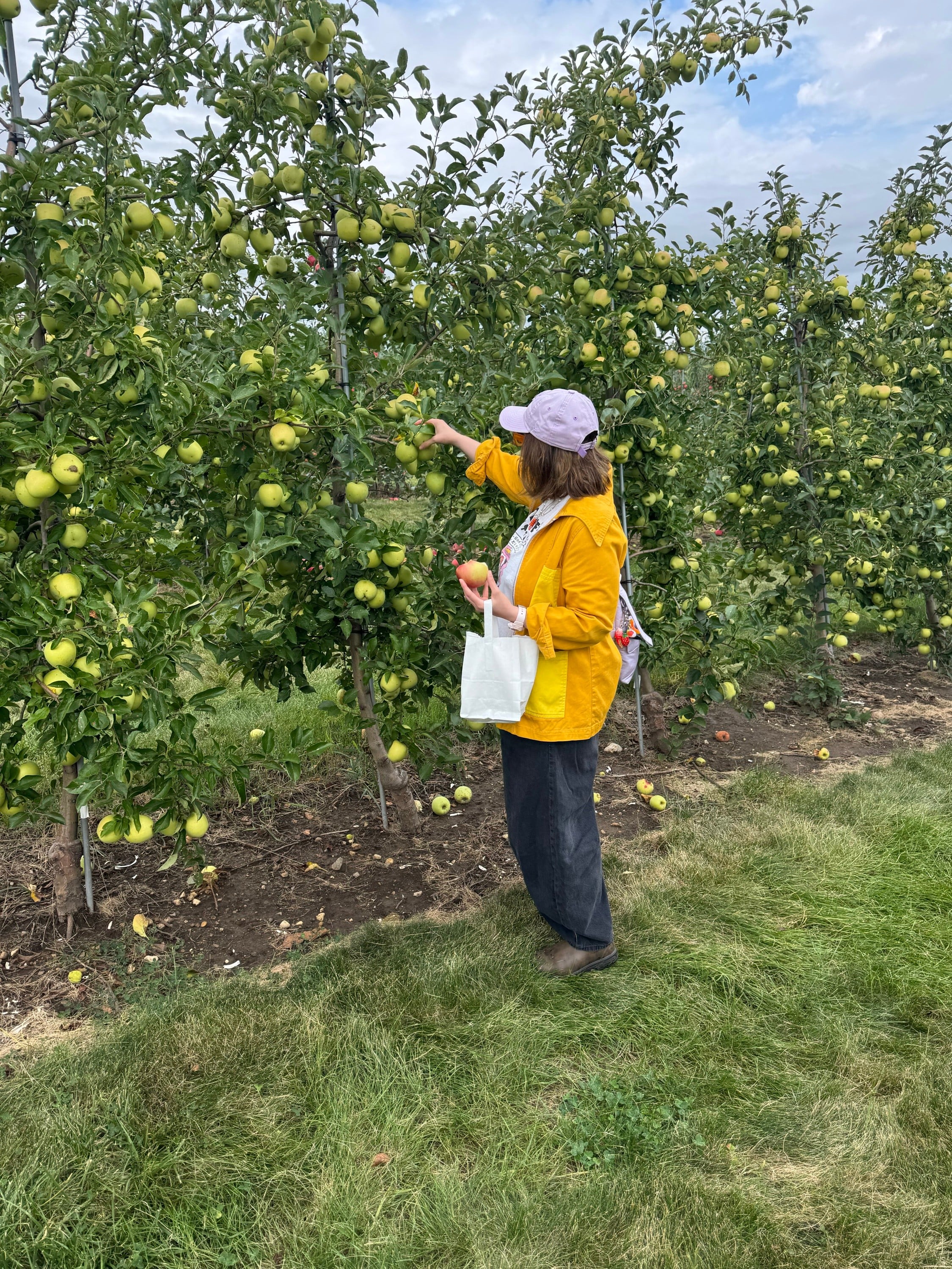going apple picking
