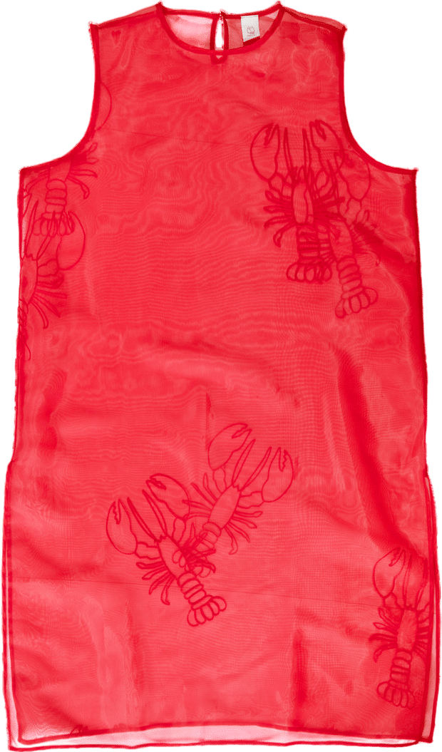 Organza Tunic