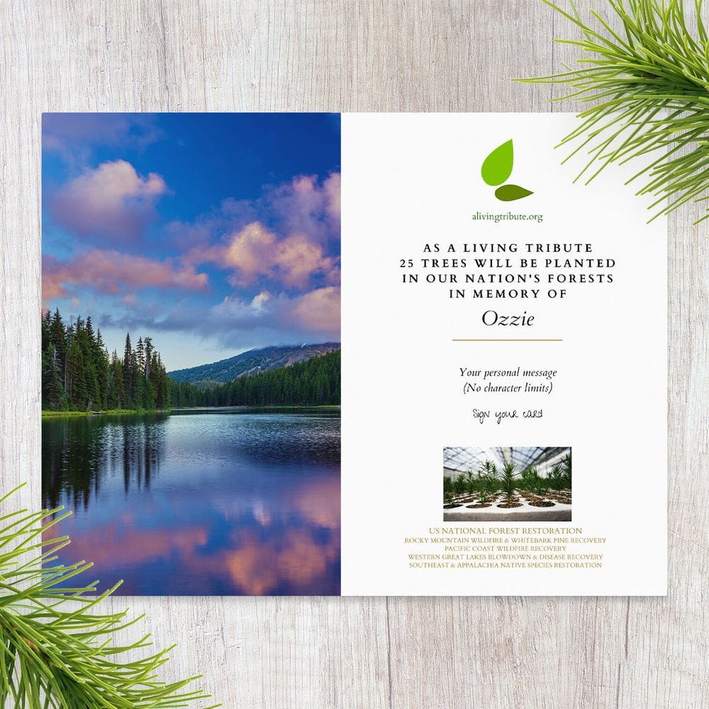 Plant a grove of trees in their honor