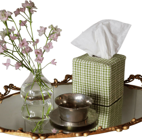 Heather Taylor Home Tissue Box Cover