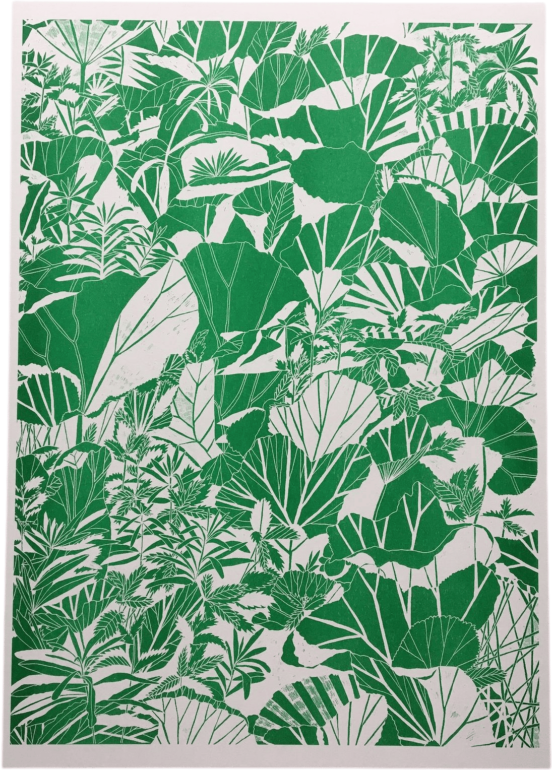 LouiseSmurthwaite A3 Plant Riso Print