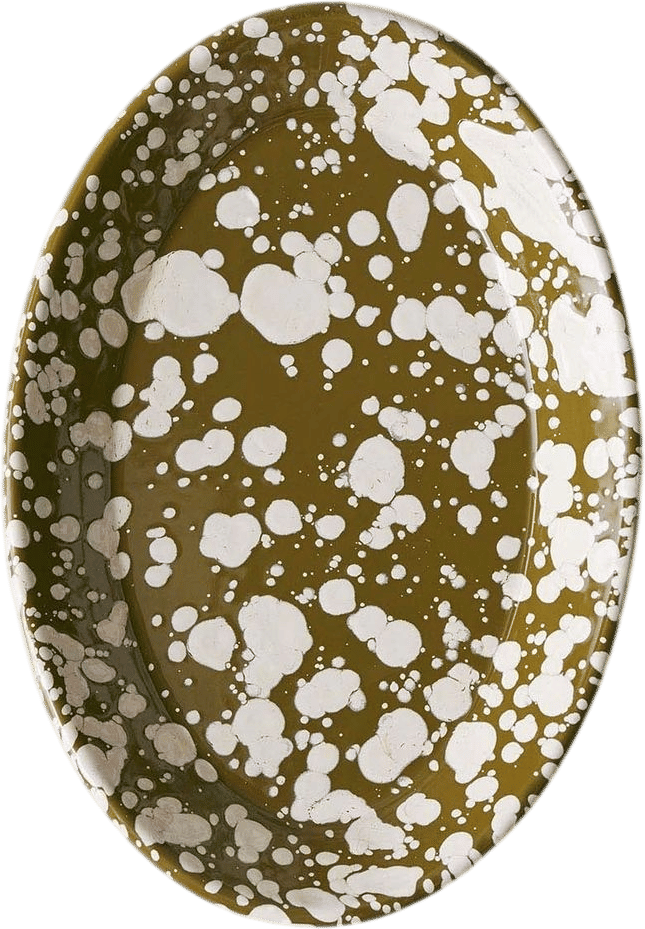 Enamel splatter platter