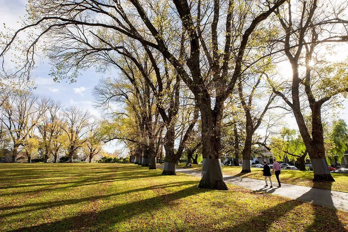 Carlton Gardens