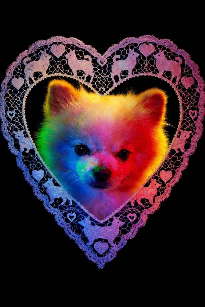 Paul Octavious / Prints and Other Tings