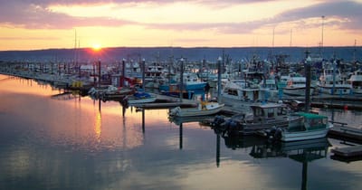 The Homer Spit