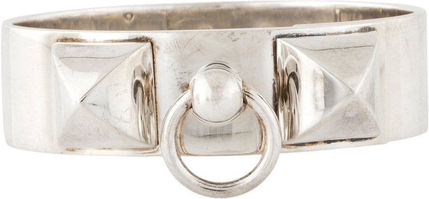 Collier de Chien Bracelet
