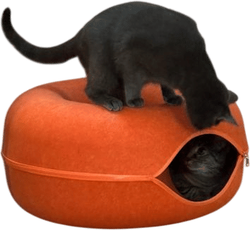 A magic felt cat cave