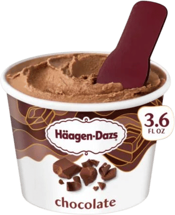 Haagen-Dazs Chocolate Ice Cream Cup