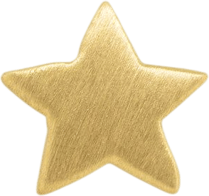 Gold Star Stud Earring