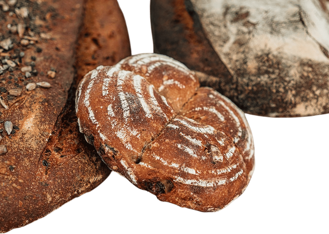 Regain Pains au levain