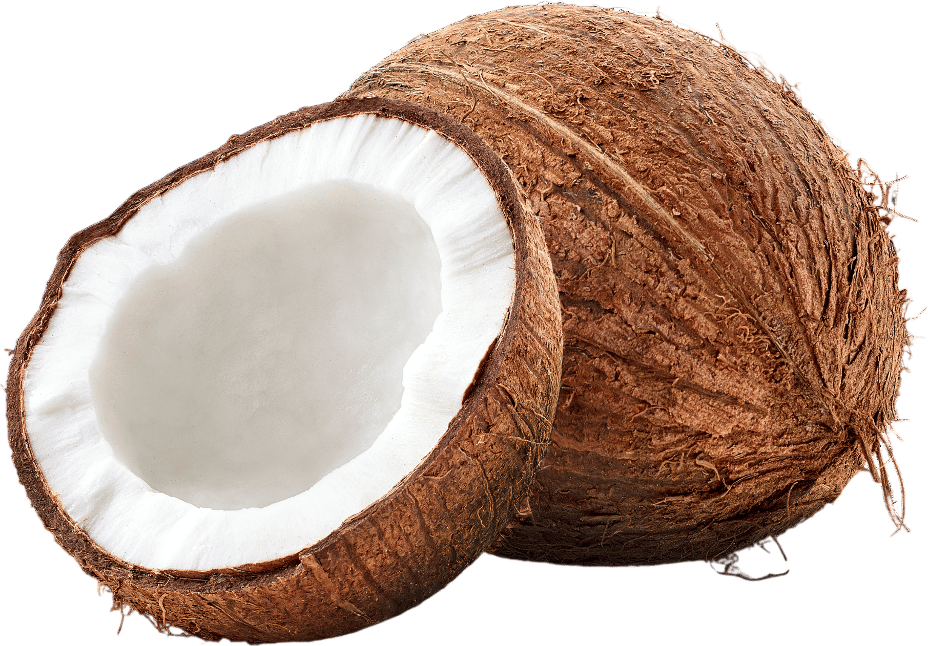 Coconut by Paul Hostovsky