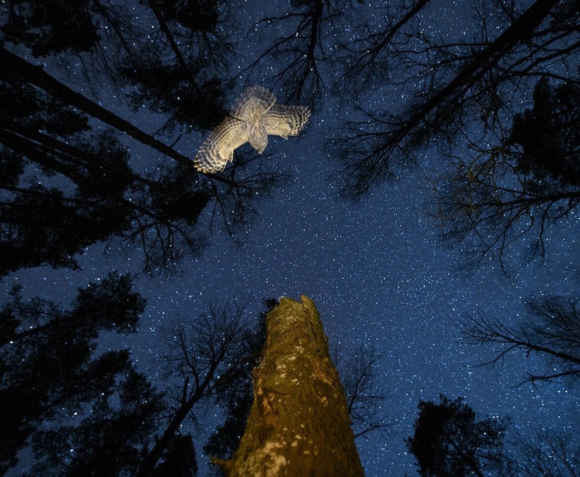 How Our Grandmothers Made Us and Saved Us