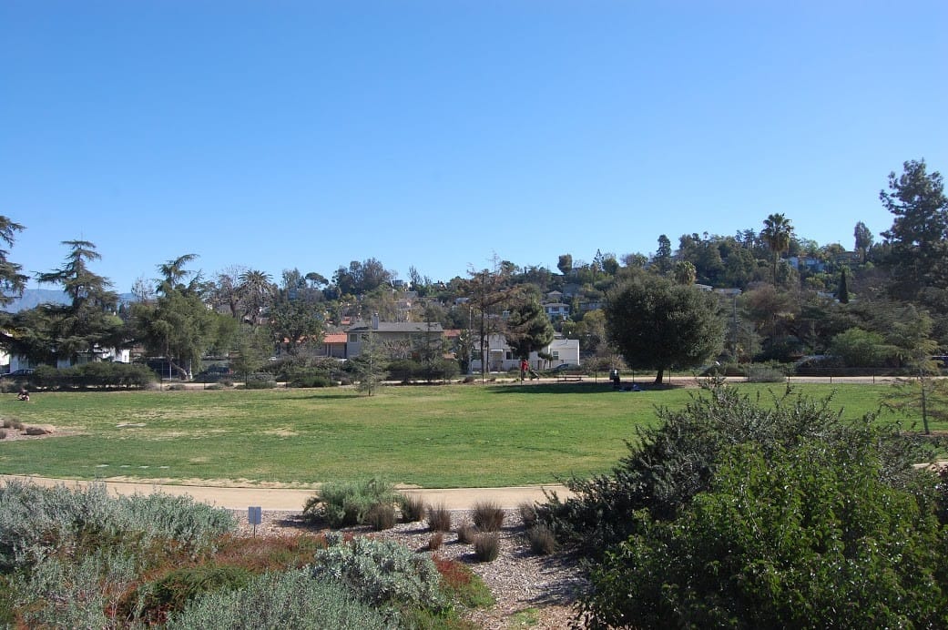 Silver Lake Meadow