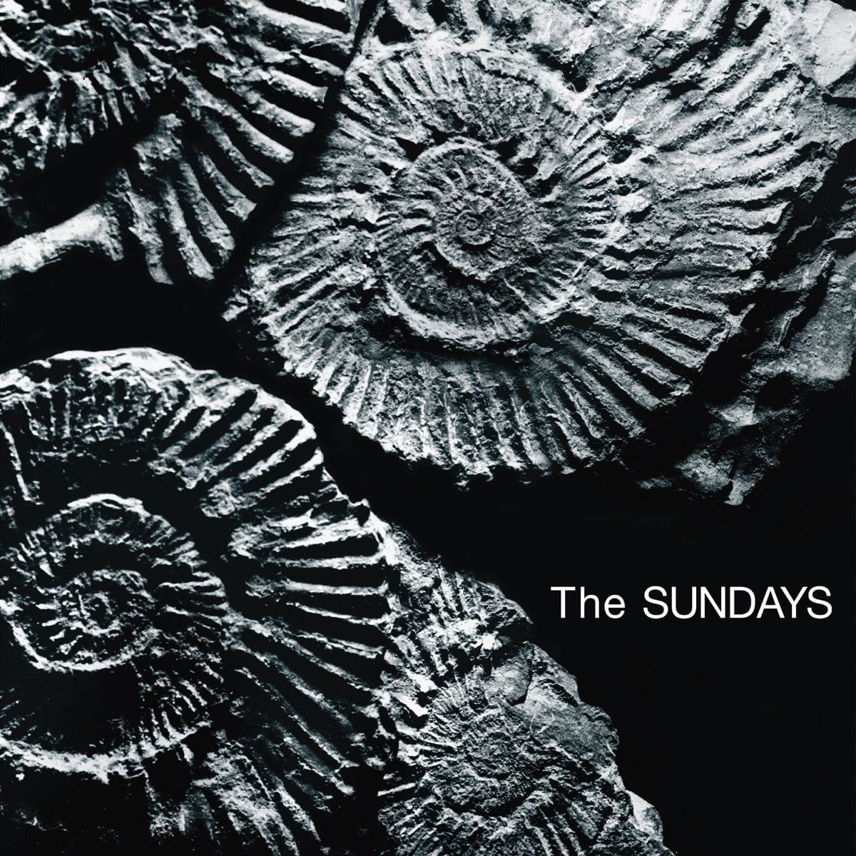 Here's Where the Story Ends — The Sundays