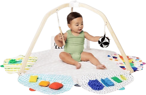The Play Gym