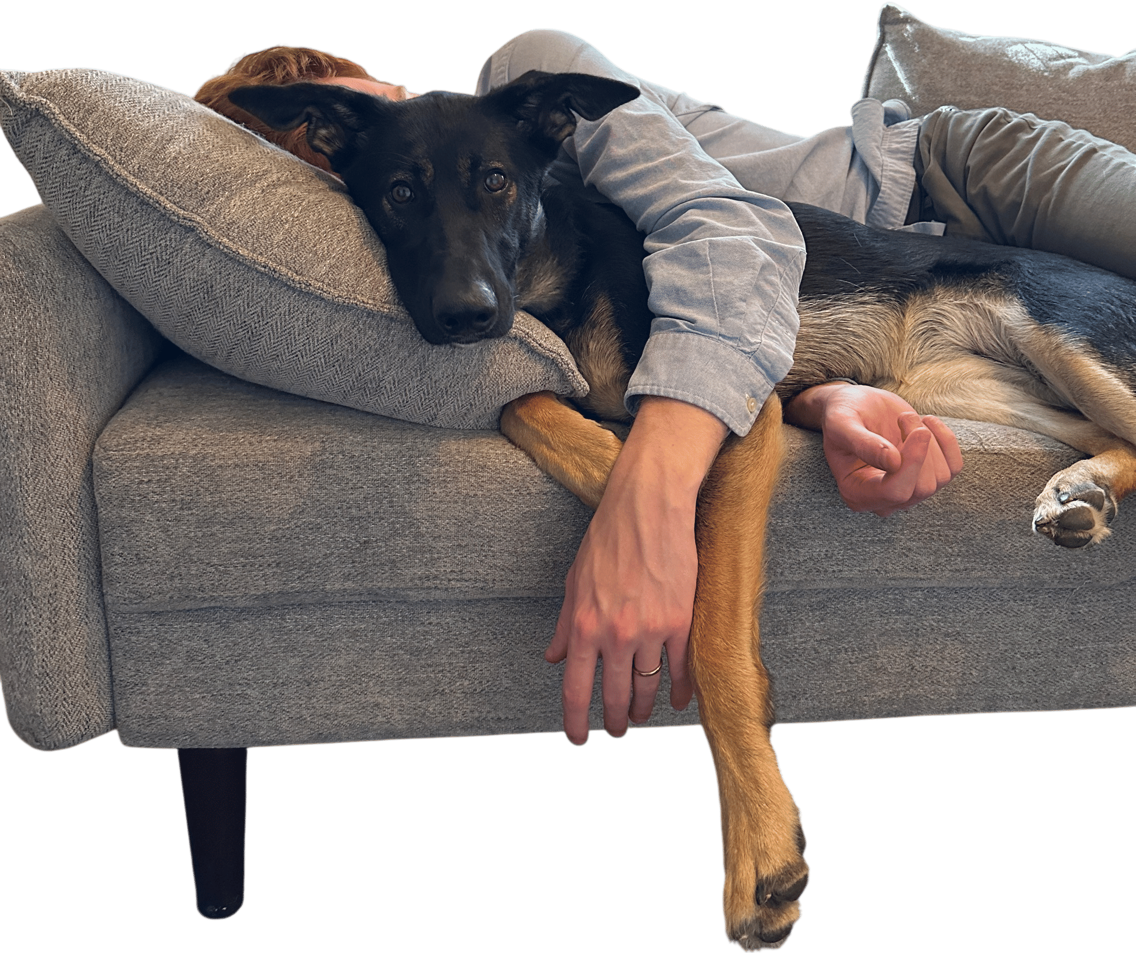 Petting a dog