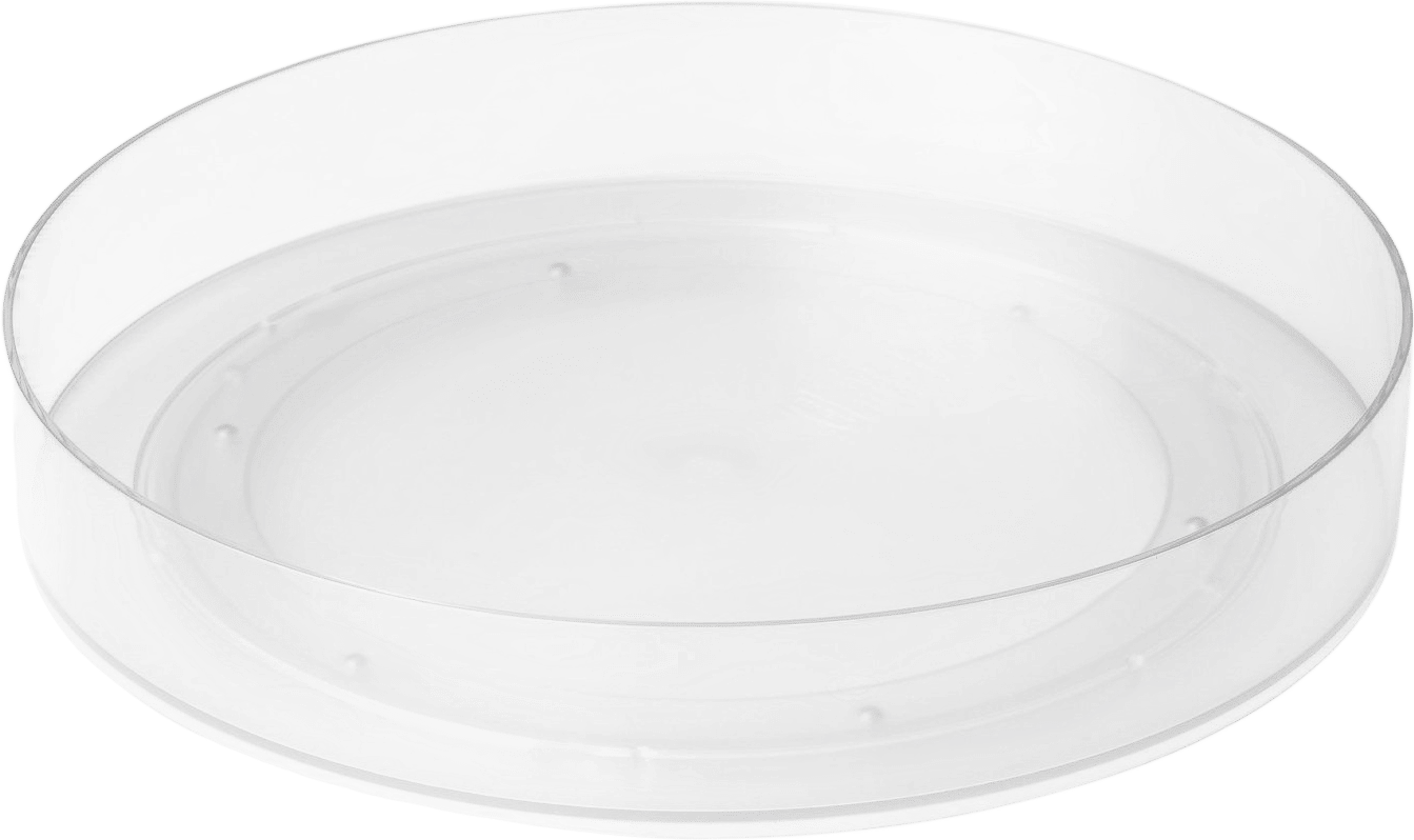 Klippkaktus Lazy Susan