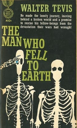 The Man Who Fell to Earth
