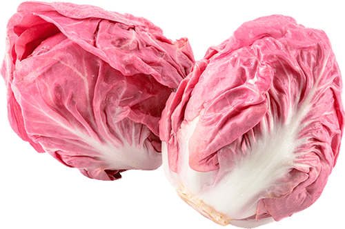 Radicchio, La Rosa del Veneto (Organic)