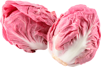 La Rosa del Veneto Radicchio Seeds