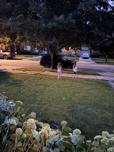 Chasing Fireflies After a Summer Storm