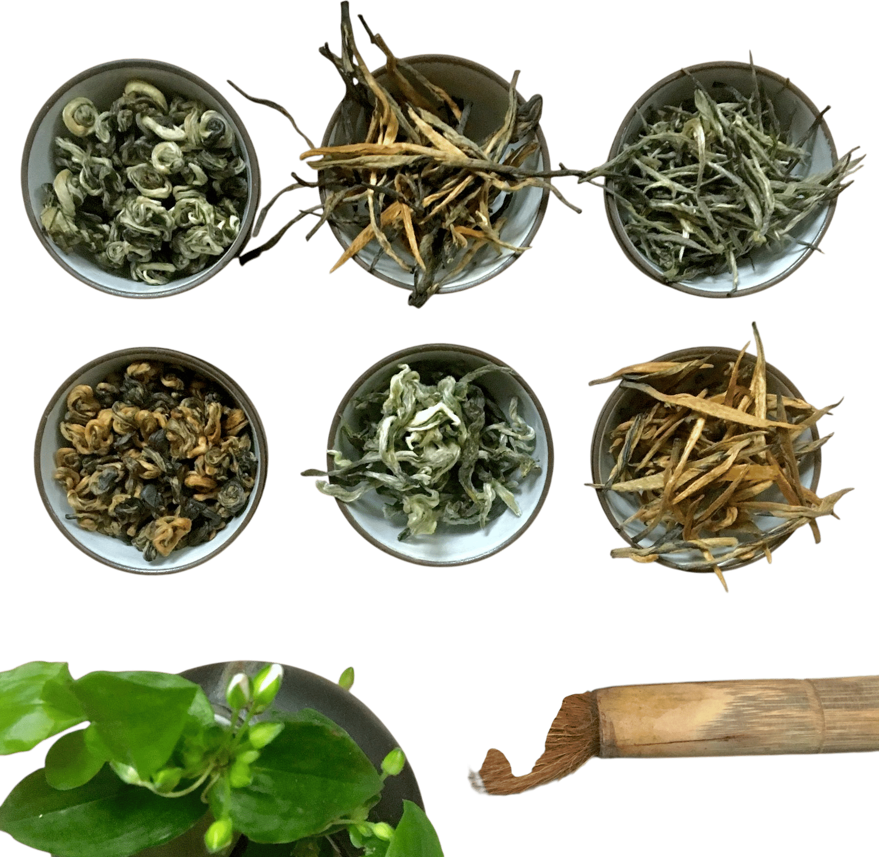 blue willow teas