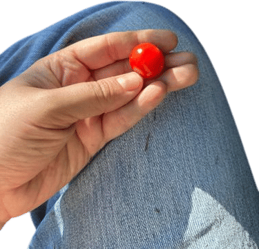 Tomato straight from the garden