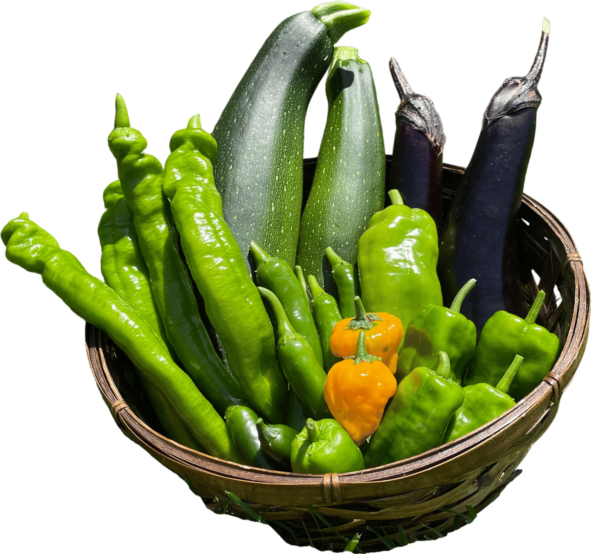 Arranging your home grown veg in a cute basket