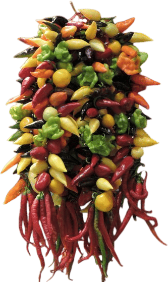 Chili Peppers