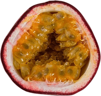 Rincón Tropics