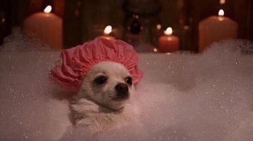 A bath