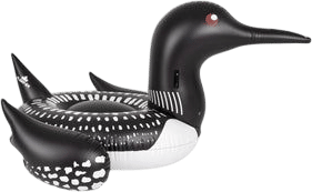 Float Eh Canadian floaties