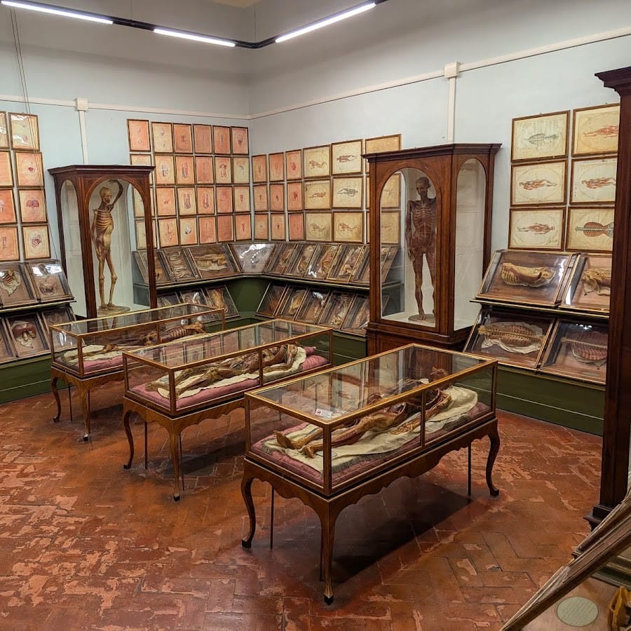 Members-Only Recommendation