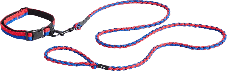 HAY dog lead