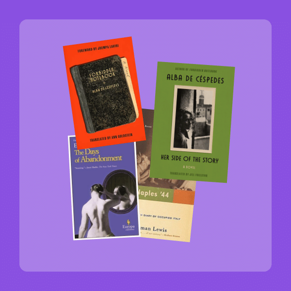 So You Loved the Neapolitan Novels Book Set