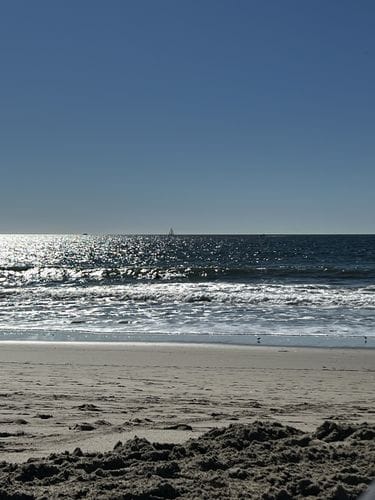taking a dip at the beach
